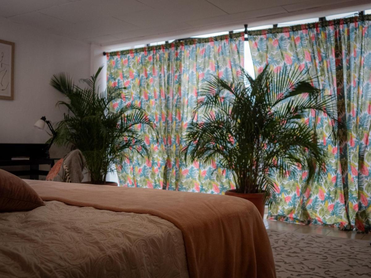 Lolas Hostal Apartamento Equipado San José Exterior foto